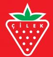 logo - Çilek