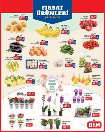 thumbnail - BİM katalog